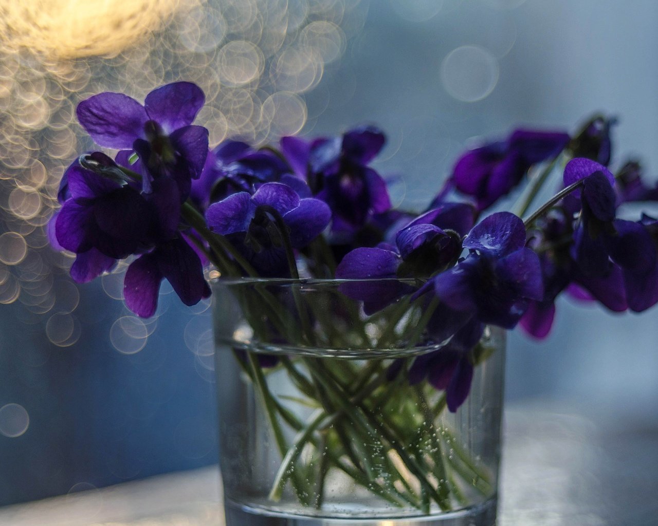Обои цветы, букет, ваза, фиалки, flowers, bouquet, vase, violet разрешение 4895x3242 Загрузить