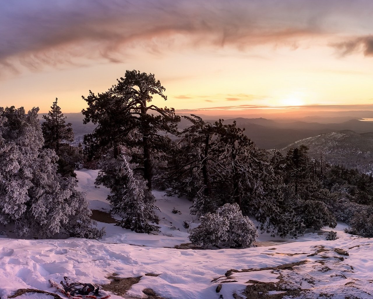 Обои деревья, горы, снег, лес, закат, зима, trees, mountains, snow, forest, sunset, winter разрешение 1920x1100 Загрузить