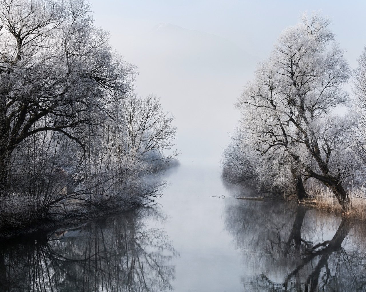 Обои деревья, река, зима, туман, ветки, trees, river, winter, fog, branches разрешение 2048x1365 Загрузить