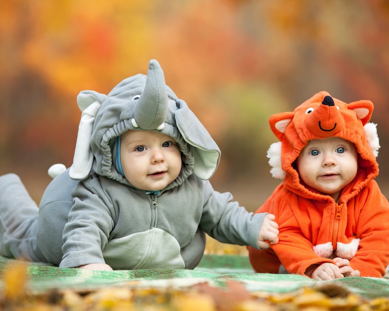 Обои дети, костюмы, слоник, лисичка, позитив, младенцы, children, costumes, elephant, fox, positive, babies разрешение 2560x1600 Загрузить