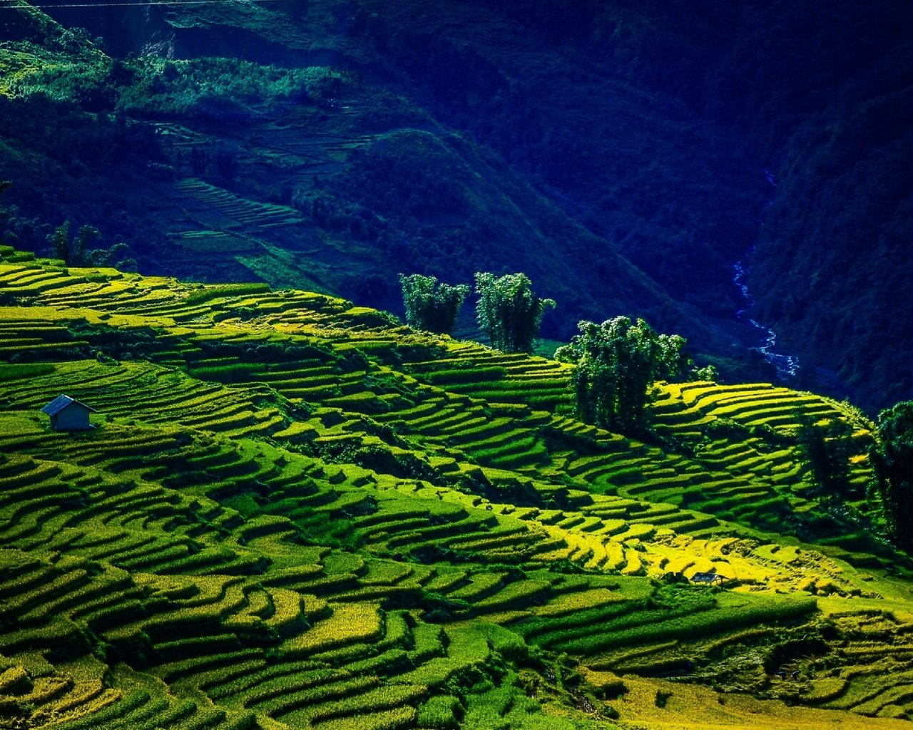 Обои горы, поля, лето, вьетнам, mountains, field, summer, vietnam разрешение 2560x1619 Загрузить