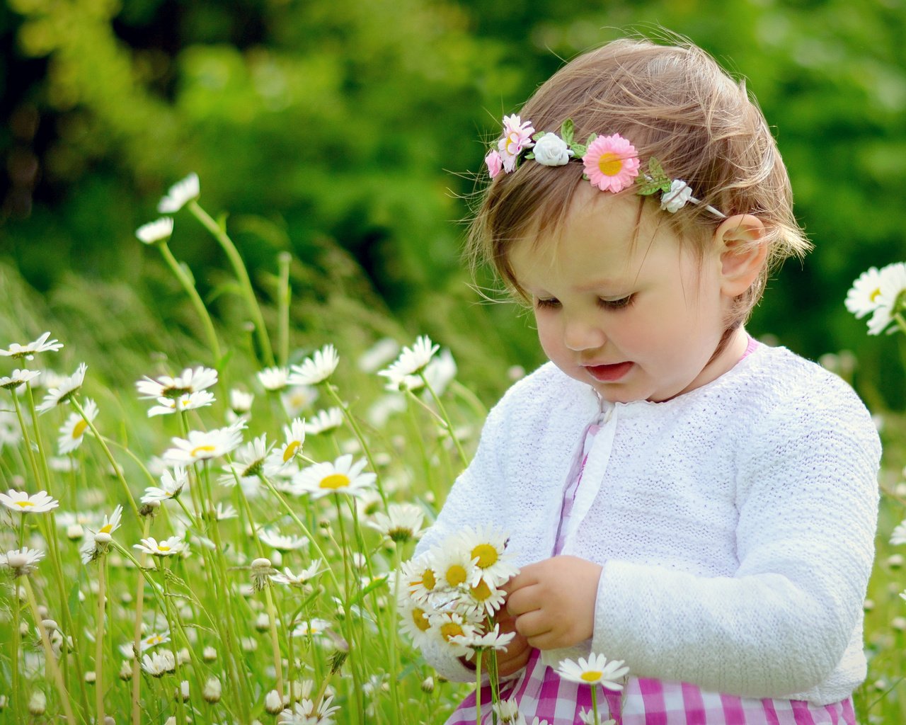 Обои цветы, настроение, дети, девочка, ромашки, flowers, mood, children, girl, chamomile разрешение 2048x1357 Загрузить