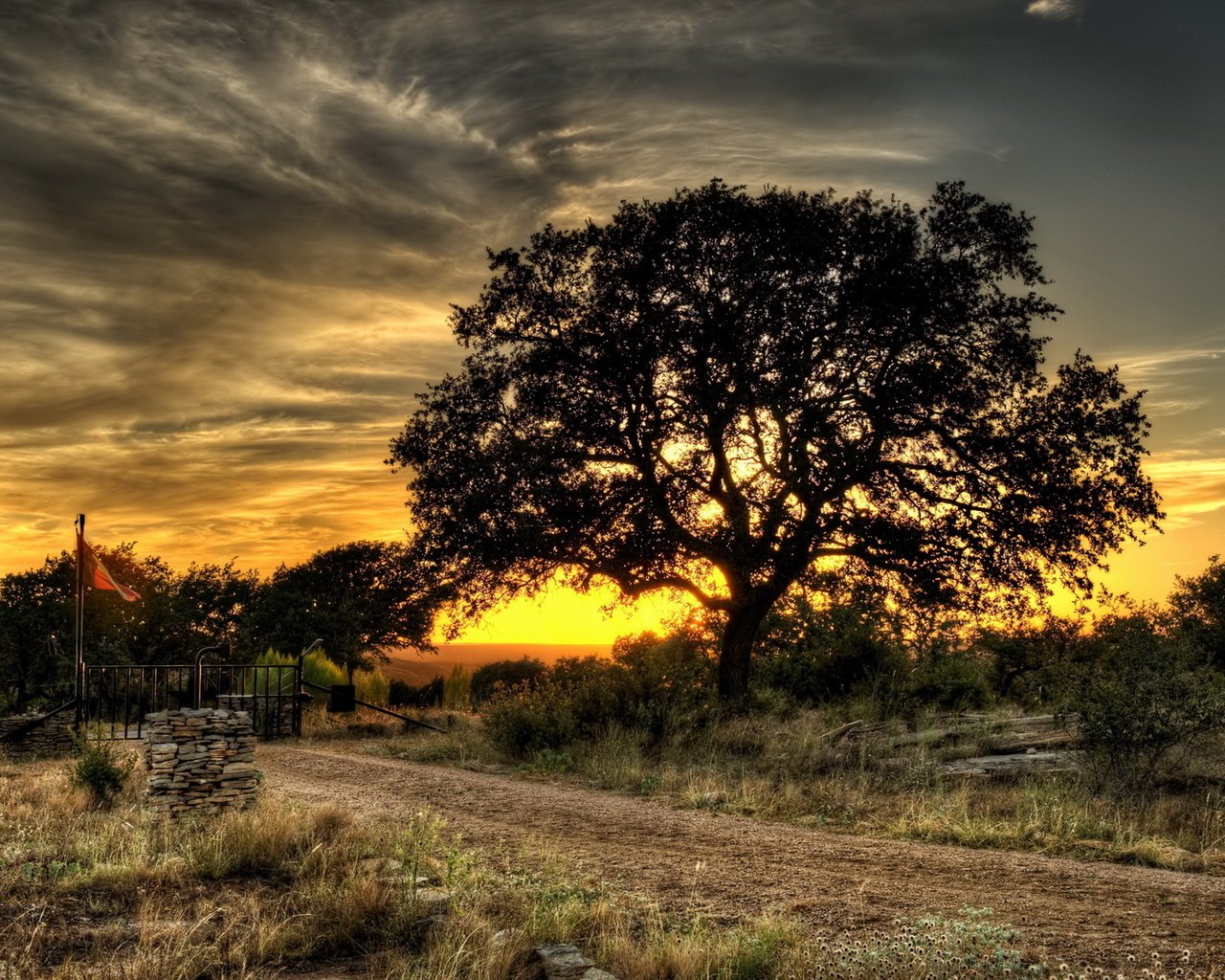 Обои небо, дорога, трава, деревья, вечер, закат, пейзажи, the sky, road, grass, trees, the evening, sunset, landscapes разрешение 1920x1080 Загрузить