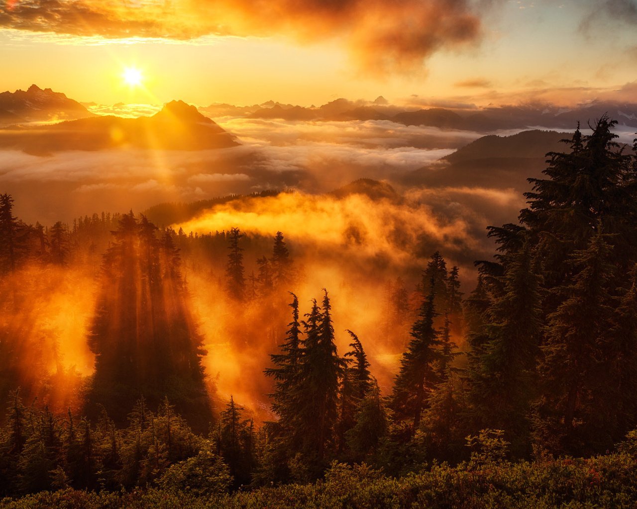 Обои небо, деревья, горы, солнце, лес, туман, горизонт, the sky, trees, mountains, the sun, forest, fog, horizon разрешение 2000x1182 Загрузить