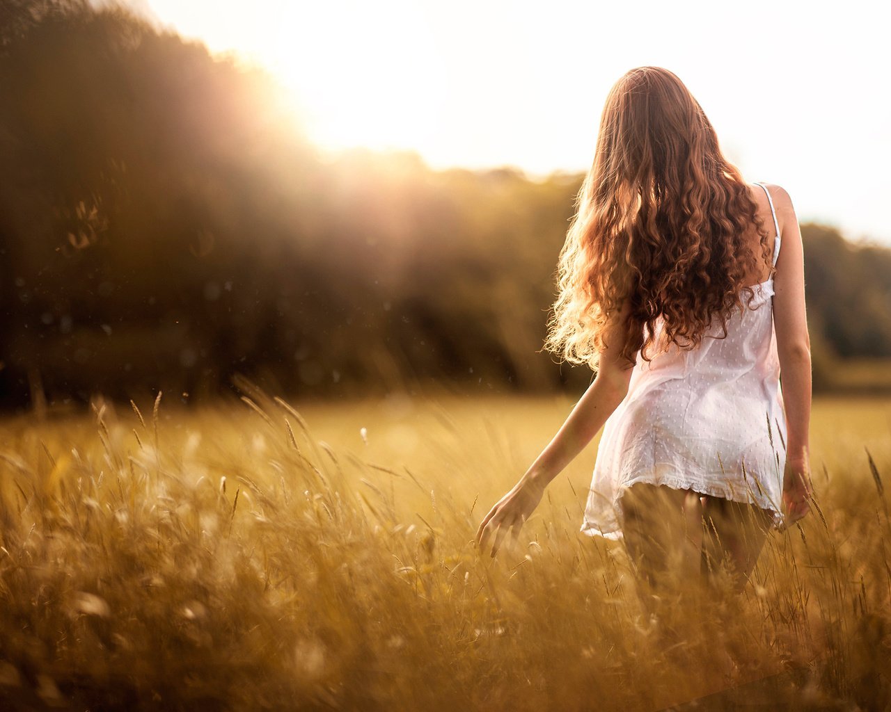 Обои небо, трава, девушка, платье, поле, лето, спина, волосы, the sky, grass, girl, dress, field, summer, back, hair разрешение 2048x1367 Загрузить