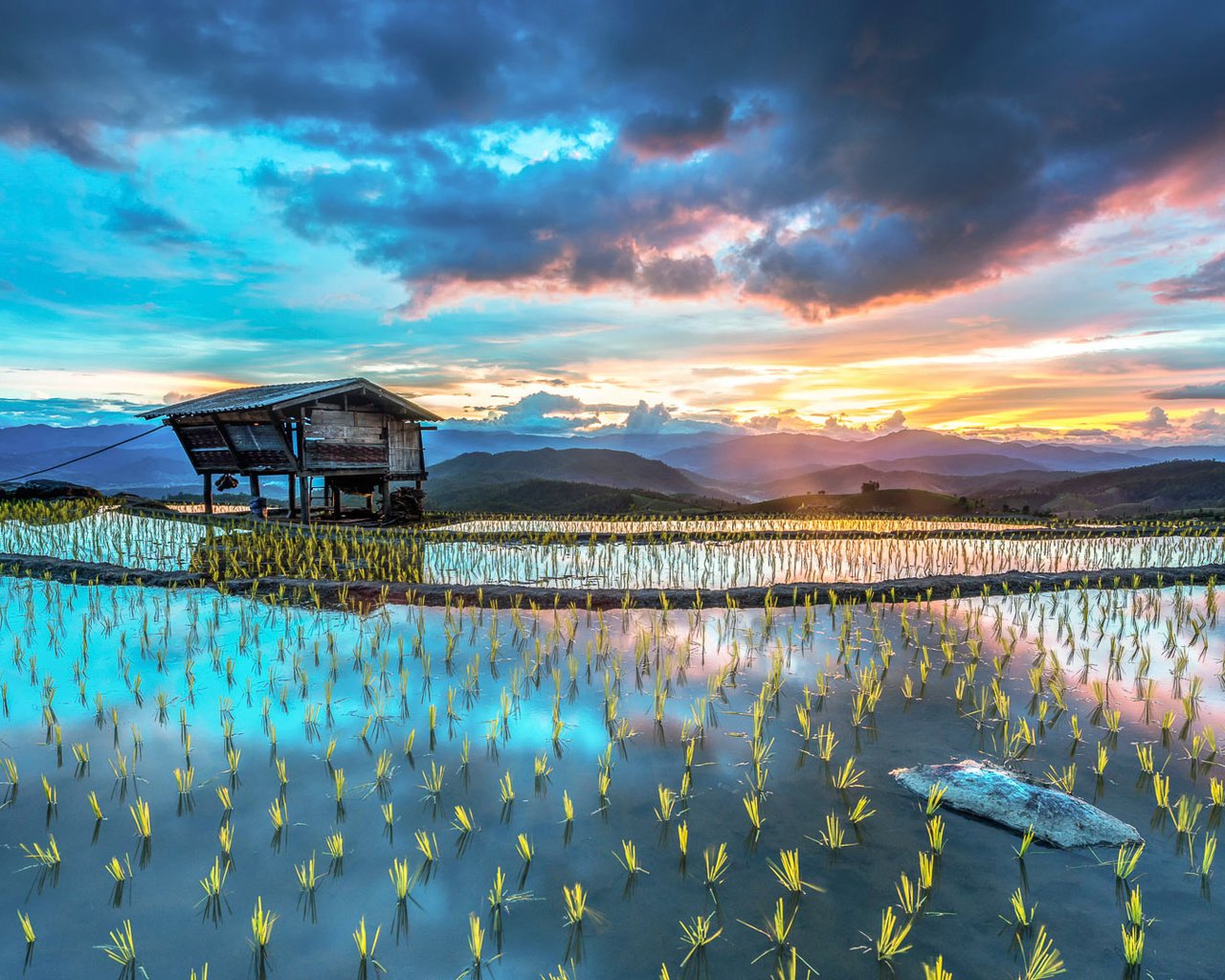 Обои небо, вода, поле, рис, хижина, the sky, water, field, figure, hut разрешение 1920x1080 Загрузить