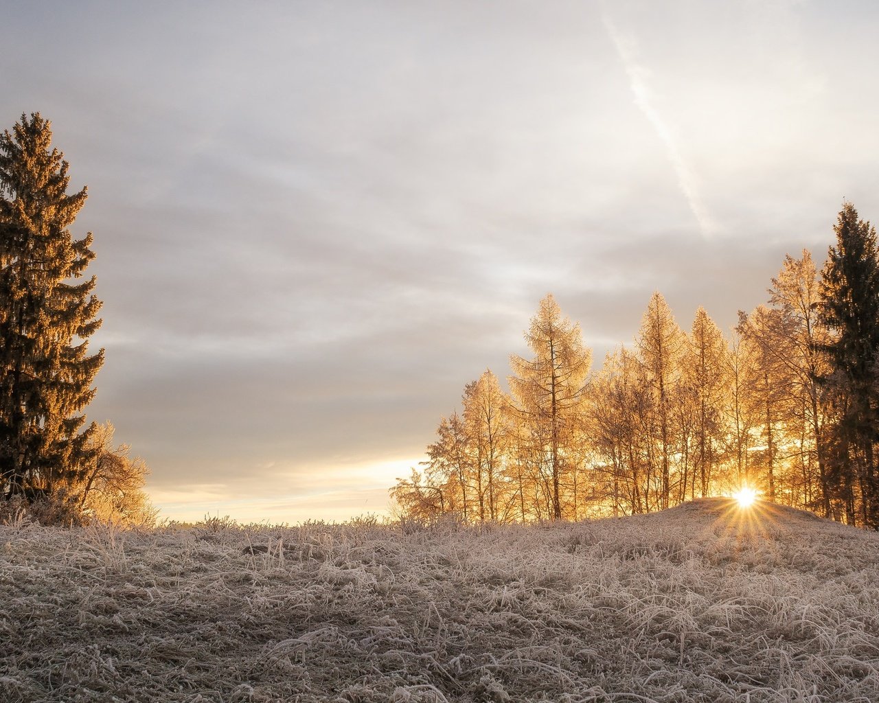 Обои свет, деревья, солнце, зима, лучи, утро, иней, light, trees, the sun, winter, rays, morning, frost разрешение 2048x1280 Загрузить