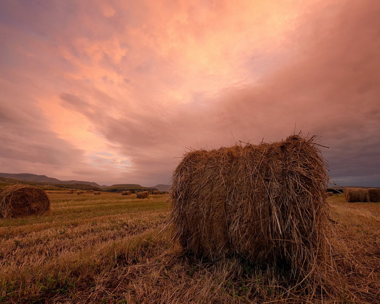 Обои закат, пейзаж, поле, сено, тюки, рулоны, sunset, landscape, field, hay, bales, rolls разрешение 1920x1200 Загрузить