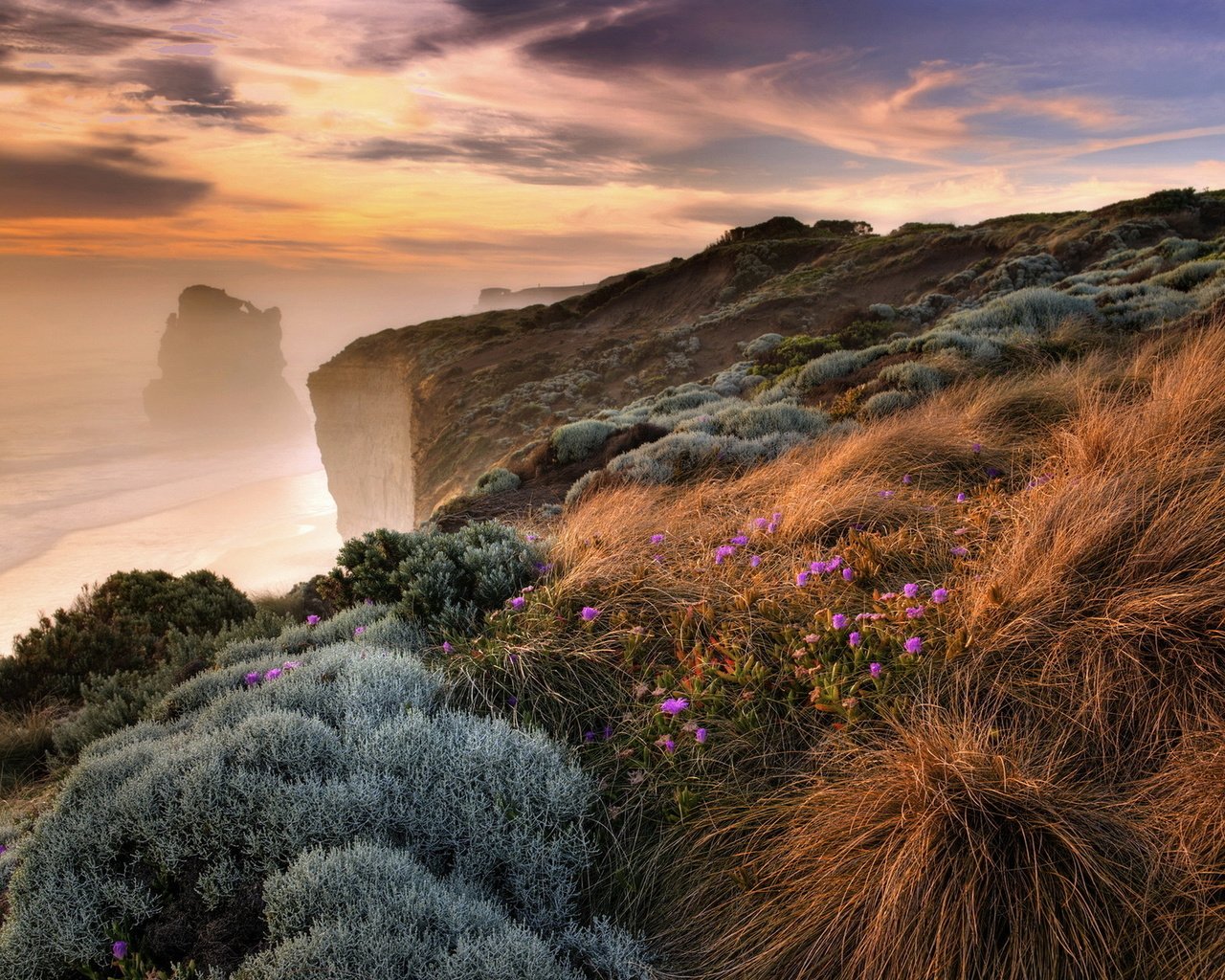 Обои цветы, трава, скалы, берег, море, туман, побережье, обрыв, flowers, grass, rocks, shore, sea, fog, coast, open разрешение 1920x1200 Загрузить