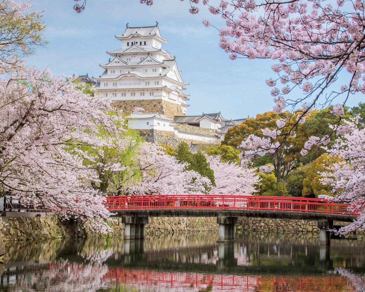 Обои мост, замок, япония, сакура, химэдзи, bridge, castle, japan, sakura, himeji разрешение 2048x1341 Загрузить