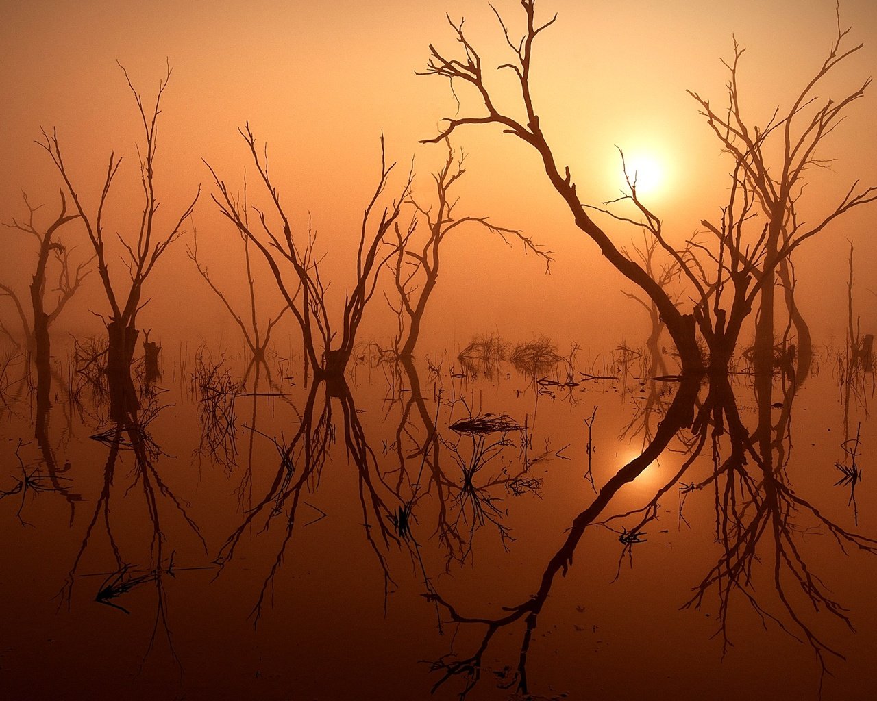 Обои ночь, деревья, озеро, отражение, пейзаж, туман, луна, night, trees, lake, reflection, landscape, fog, the moon разрешение 2560x1600 Загрузить