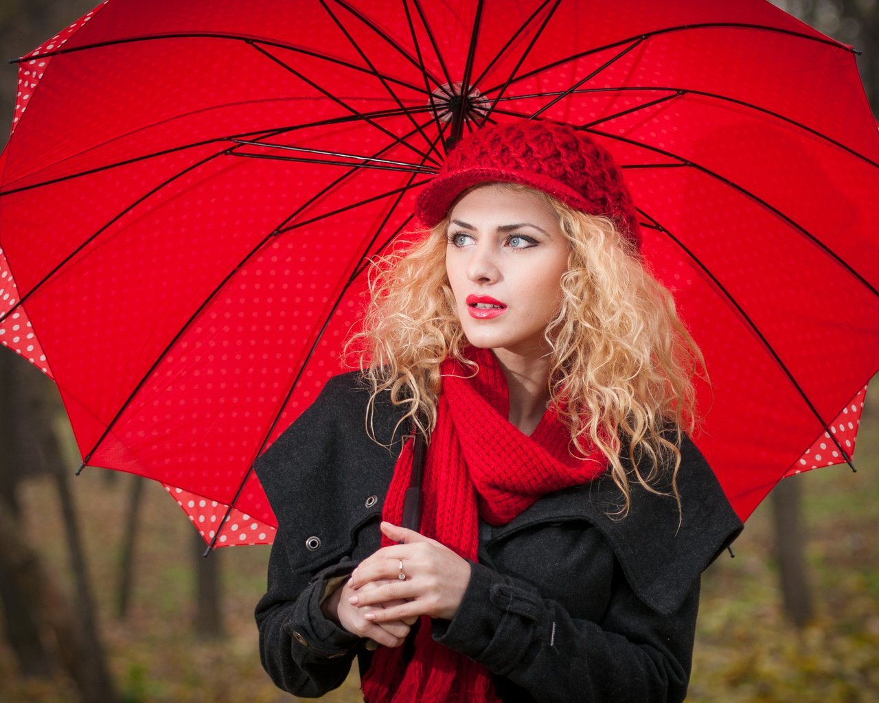 Обои девушка, блондинка, взгляд, осень, модель, зонт, шляпа, шарф, girl, blonde, look, autumn, model, umbrella, hat, scarf разрешение 2566x1721 Загрузить