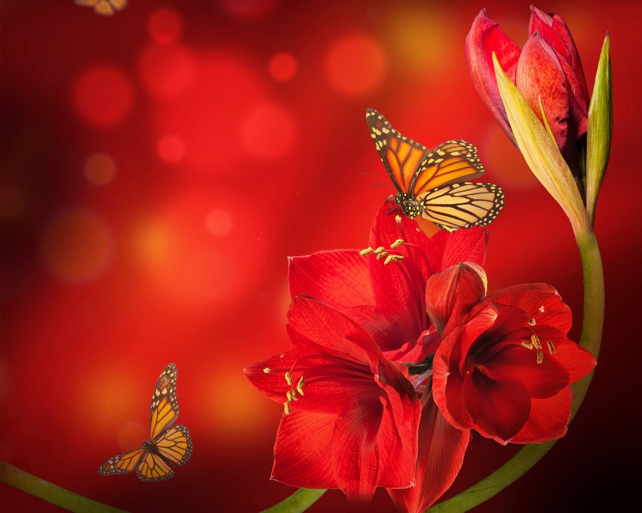 Обои цветок, насекомые, рендеринг, бабочки, боке, амариллис, flower, insects, rendering, butterfly, bokeh, amaryllis разрешение 7204x5763 Загрузить