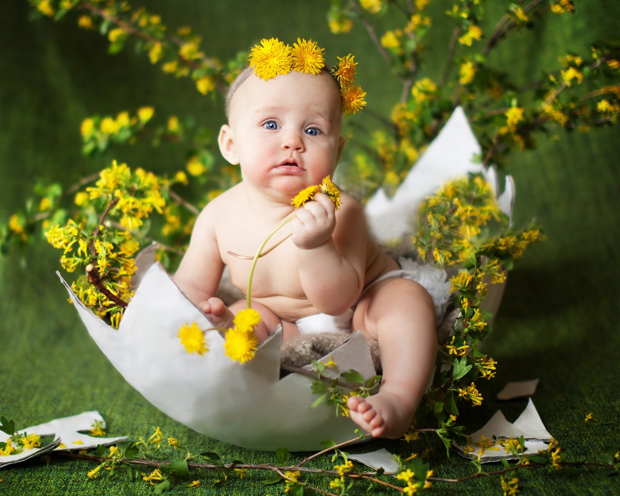 Обои цветы, ребенок, одуванчики, малыш, венок, скорлупа, яйцо, flowers, child, dandelions, baby, wreath, shell, egg разрешение 4182x3000 Загрузить