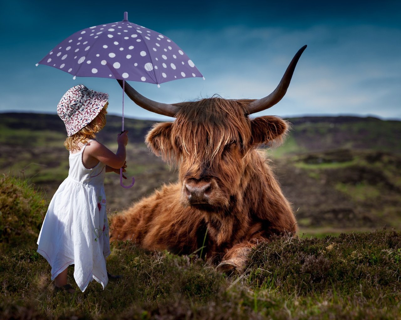 Обои природа, шляпка, фон, платье, девочка, ребенок, рога, зонтик, корова, nature, hat, background, dress, girl, child, horns, umbrella, cow разрешение 5616x3744 Загрузить