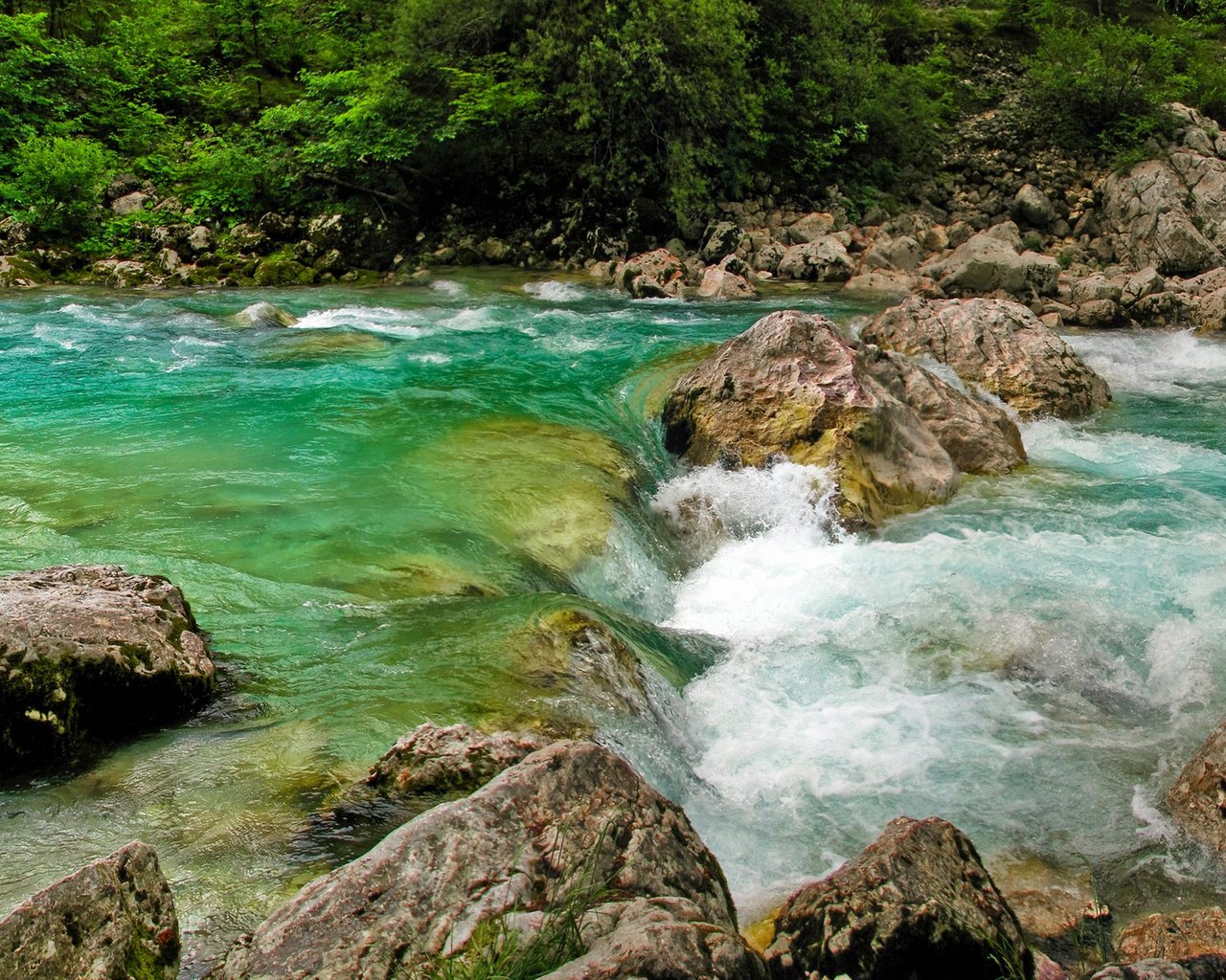 Обои река, камни, пороги, течение, словения, растиьельность, river, stones, thresholds, for, slovenia, rastitelnosti разрешение 2560x1600 Загрузить