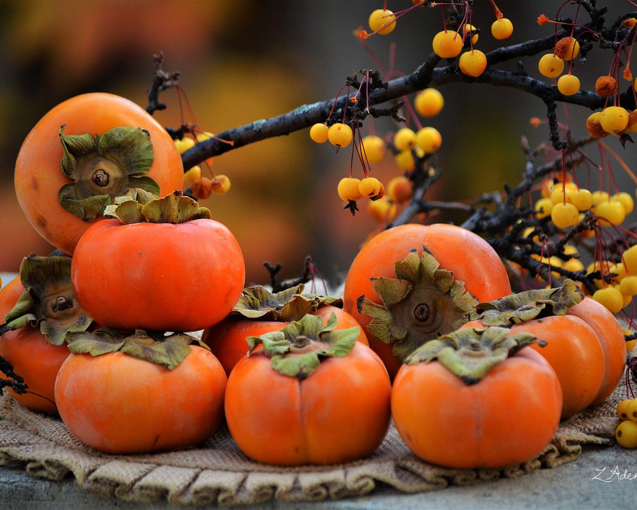 Обои ветки, фрукты, осень, ягоды, салфетка, хурма, branches, fruit, autumn, berries, napkin, persimmon разрешение 2860x1895 Загрузить