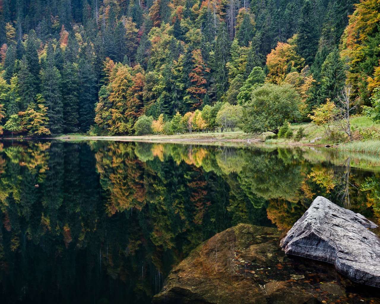 Обои озеро, природа, камни, отражение, пейзаж, леса, lake, nature, stones, reflection, landscape, forest разрешение 4285x2411 Загрузить