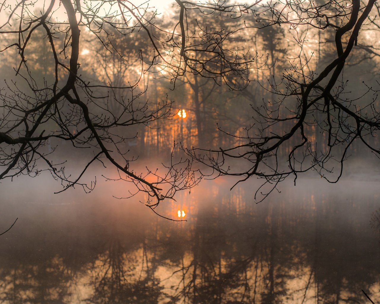 Обои деревья, вода, солнце, отражение, утро, туман, ветки, trees, water, the sun, reflection, morning, fog, branches разрешение 5769x3851 Загрузить