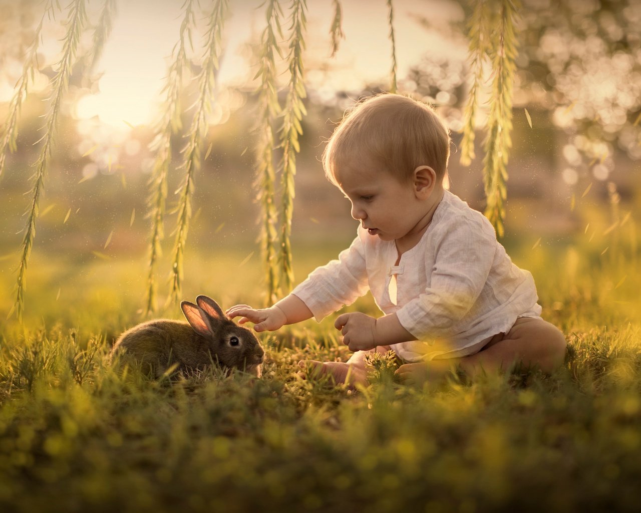 Обои трава, sveta butko, природа, ветки, дети, ребенок, кролик, животное, малыш, grass, nature, branches, children, child, rabbit, animal, baby разрешение 2048x1365 Загрузить