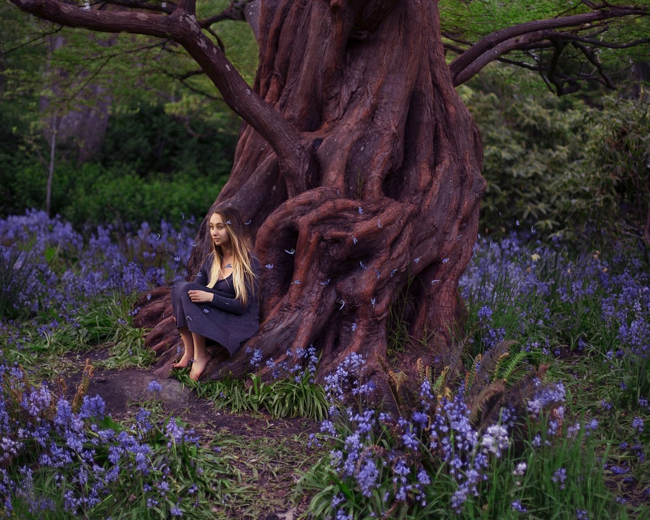 Обои цветы, дерево, девушка, платье, лепестки, корни, lichon, beacon hill, flowers, tree, girl, dress, petals, roots разрешение 2048x1365 Загрузить