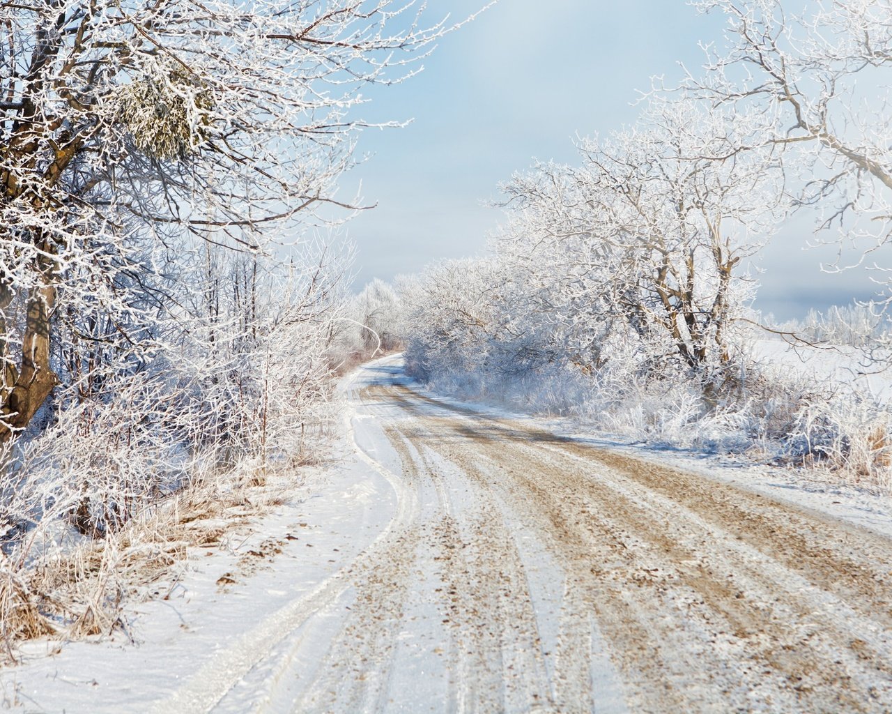 Обои дорога, деревья, снег, зима, road, trees, snow, winter разрешение 2048x1279 Загрузить