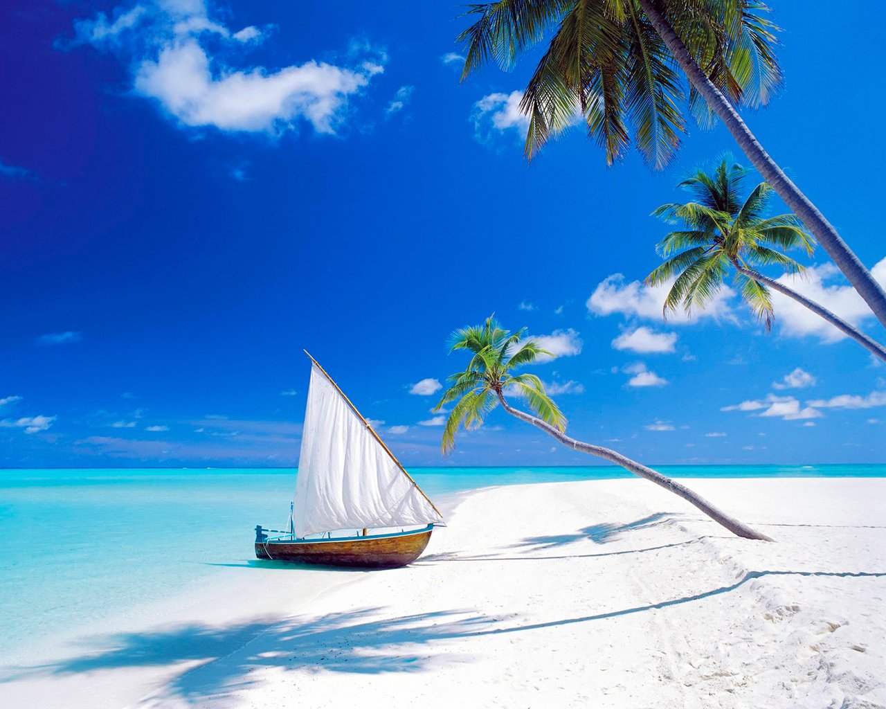 Обои море, песок, пляж, лодка, пальмы, остров, тропики, мальдивы, sea, sand, beach, boat, palm trees, island, tropics, the maldives разрешение 1920x1456 Загрузить