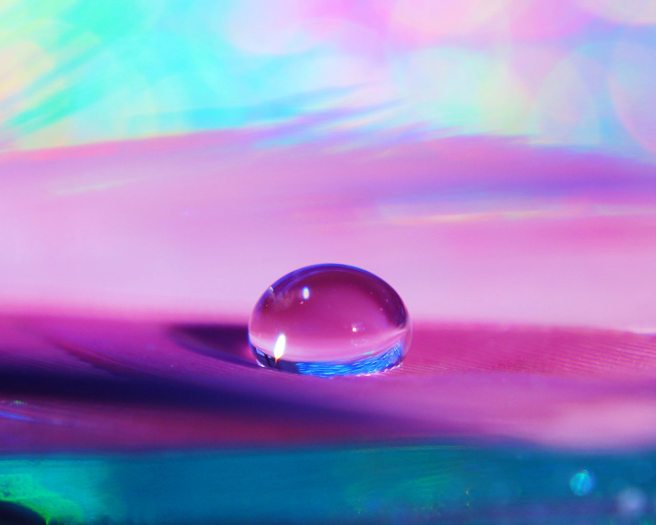 Обои вода, макро, капля, о, прозрачность, п, сиреневый фон, water, macro, drop, on, transparency, p, lilac background разрешение 2898x2898 Загрузить