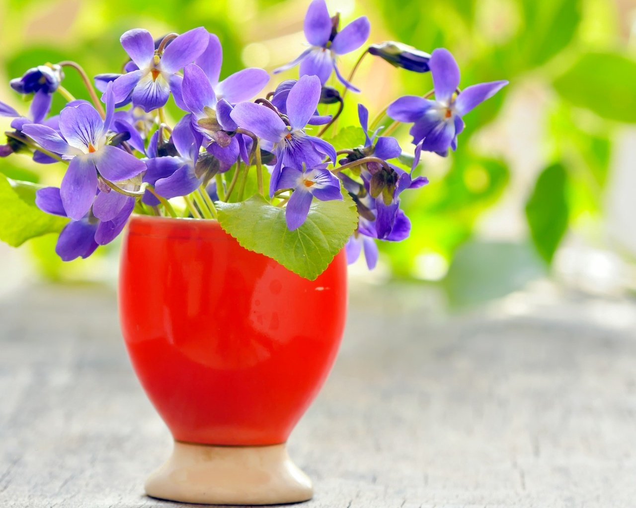 Обои цветы, ваза, фиолетовые, фиалки, flowers, vase, purple, violet разрешение 1920x1200 Загрузить