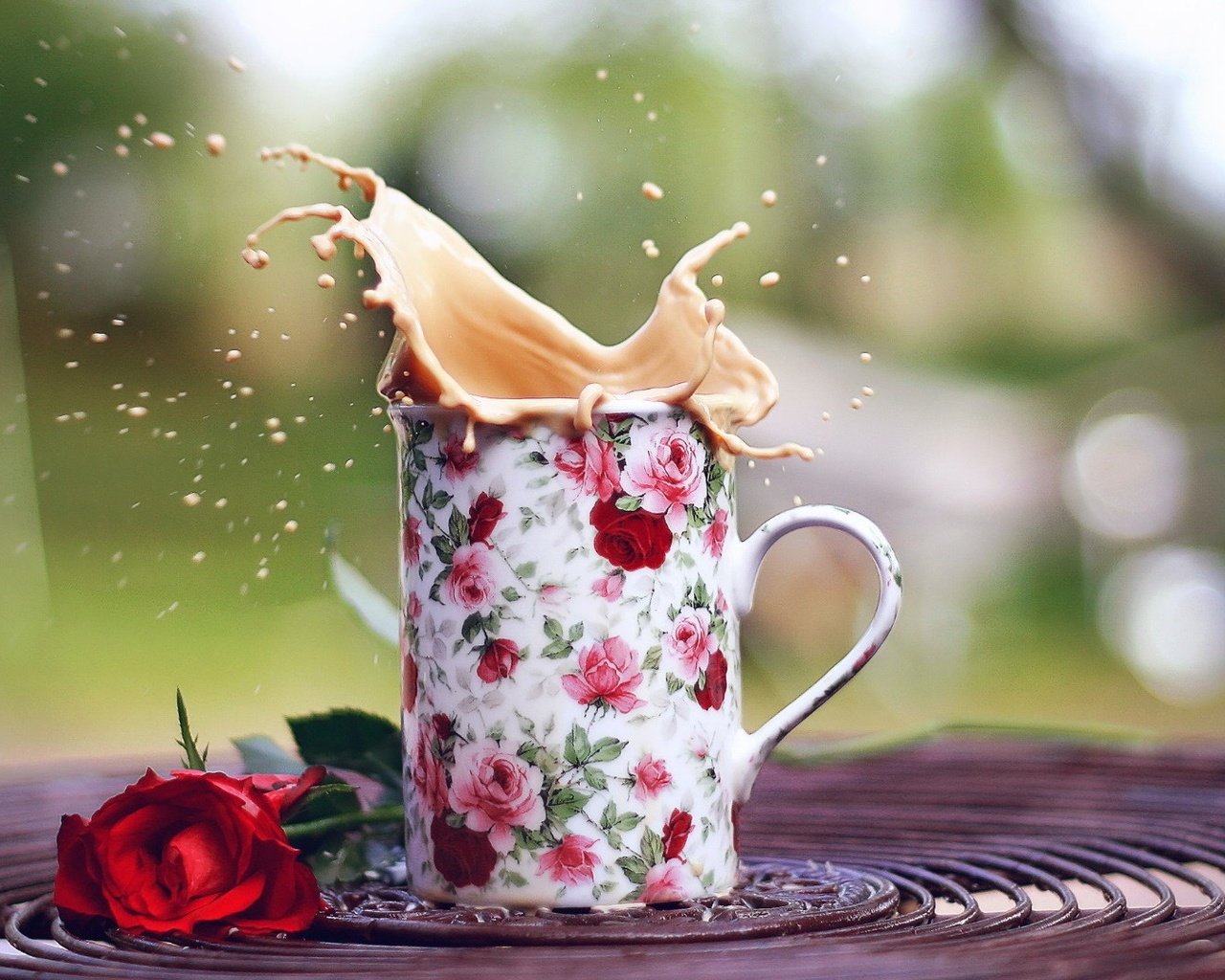 Обои напиток, цветок, роза, кофе, кружка, всплеск, капучино, drink, flower, rose, coffee, mug, splash, cappuccino разрешение 1920x1080 Загрузить