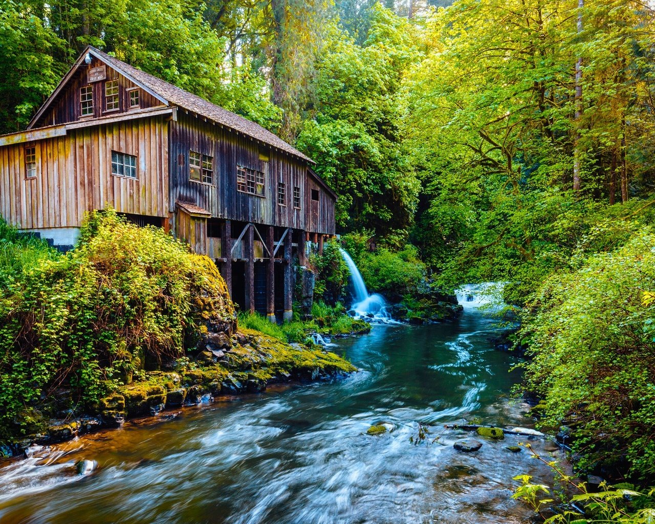 Обои деревья, река, природа, лес, водяная мельница, мельница., trees, river, nature, forest, water mill, mill. разрешение 1920x1200 Загрузить