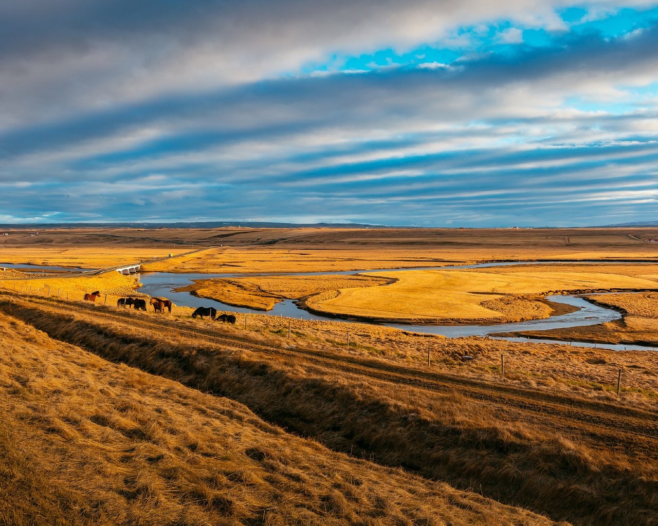 Обои небо, пасутся, трава, облака, река, лошади, кони, пастбище, степь, the sky, grazing, grass, clouds, river, horse, horses, pasture, the steppe разрешение 2688x1920 Загрузить