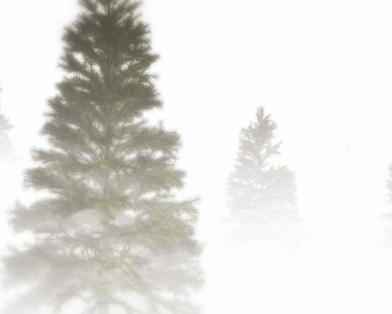 Обои природа, дерево, туман, ель, крона, nature, tree, fog, spruce, crown разрешение 3368x1901 Загрузить