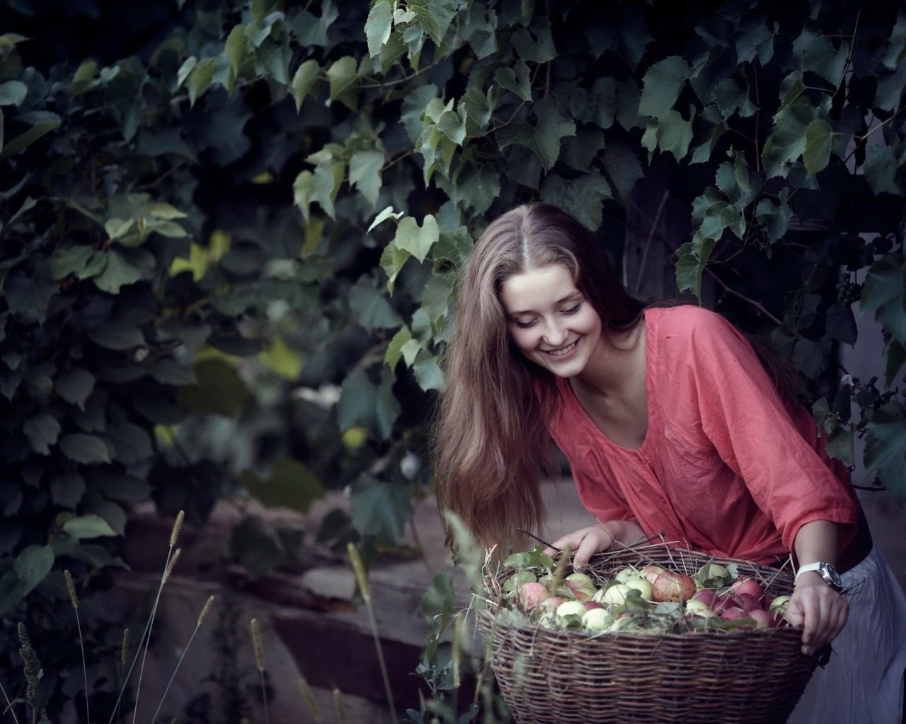 Обои девушка, улыбка, яблоки, корзина, girl, smile, apples, basket разрешение 1920x1200 Загрузить