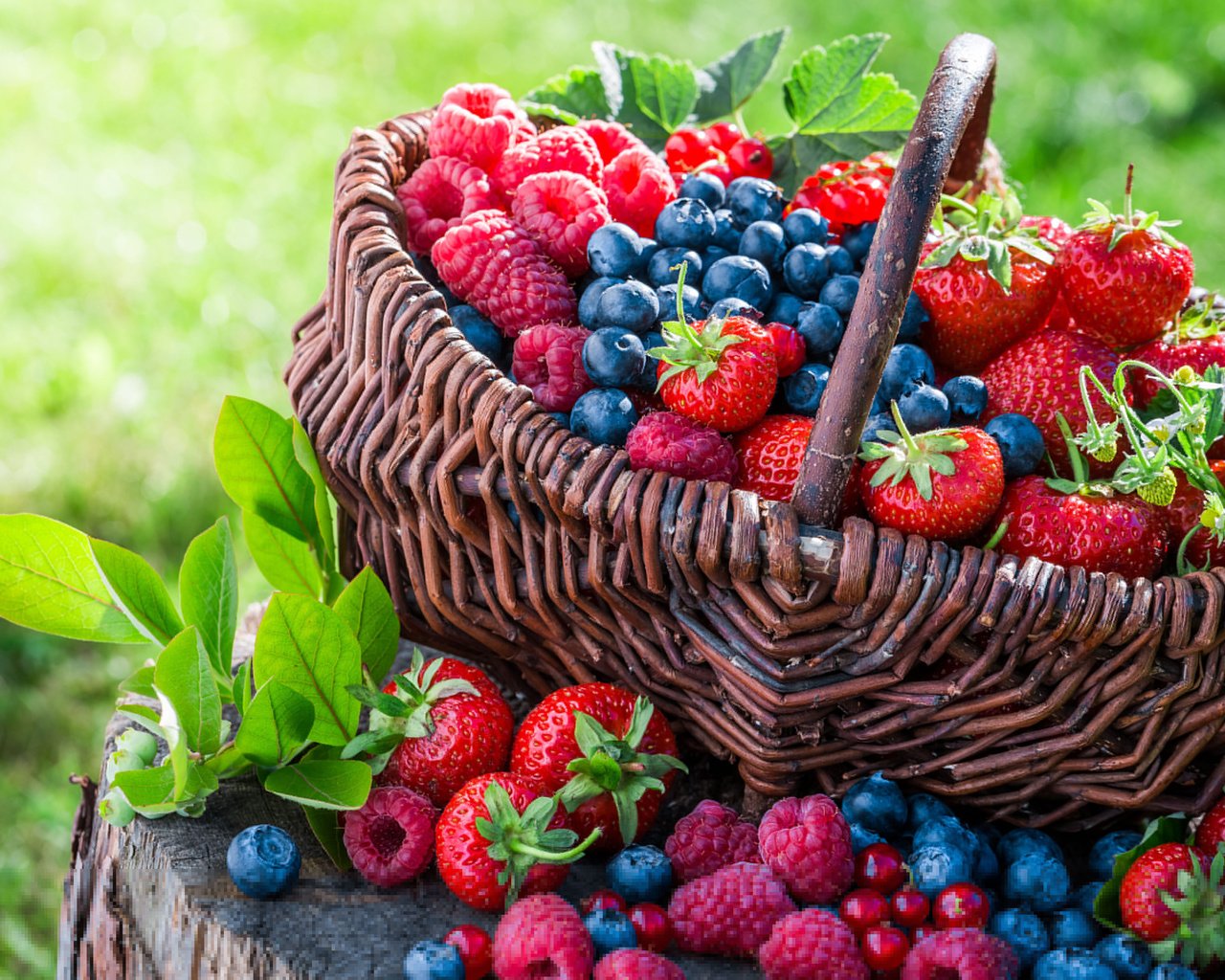 Обои малина, клубника, корзина, ягоды, черника, raspberry, strawberry, basket, berries, blueberries разрешение 3840x2400 Загрузить