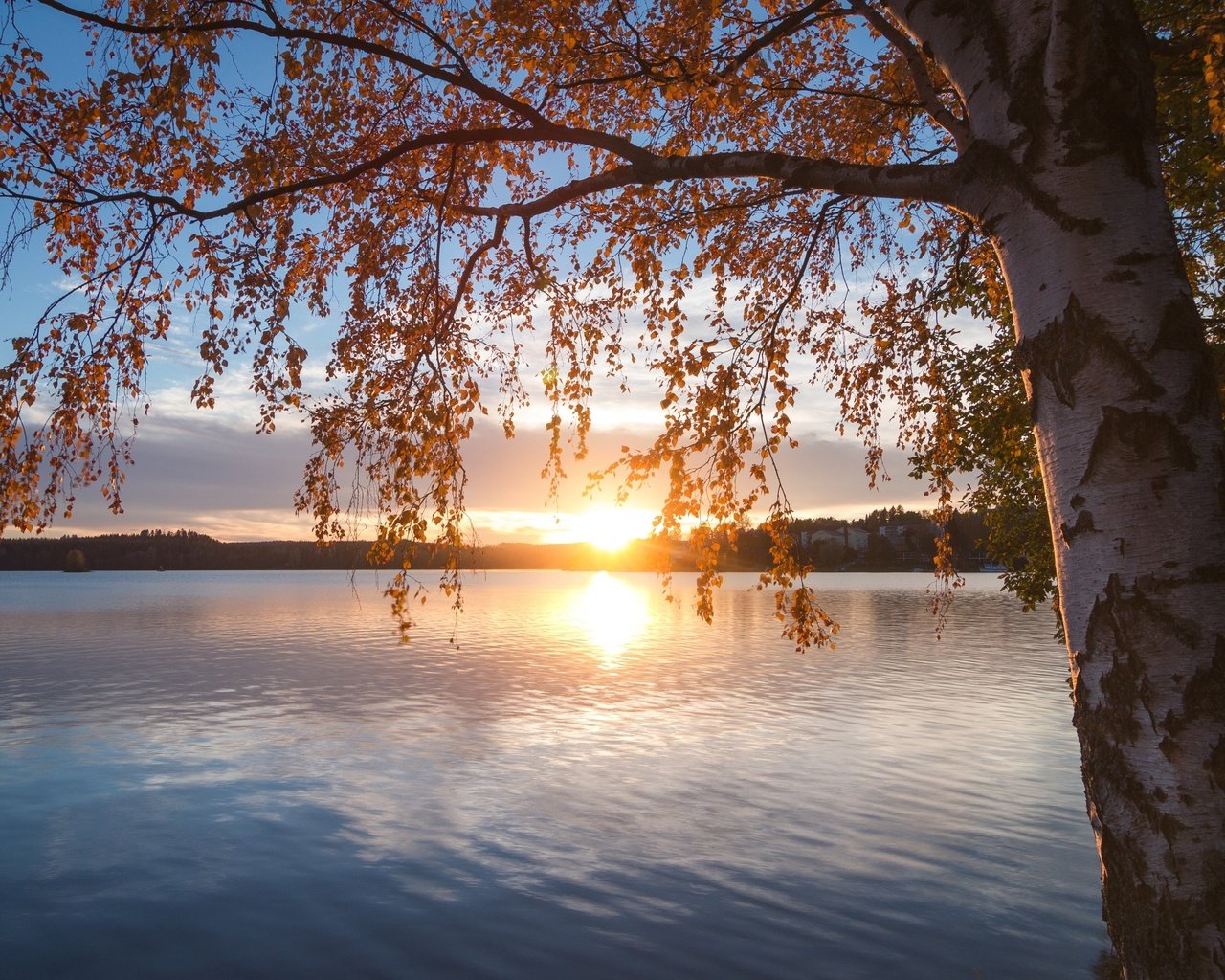 Обои озеро, природа, дерево, закат, пейзаж, осень, lake, nature, tree, sunset, landscape, autumn разрешение 2880x1800 Загрузить