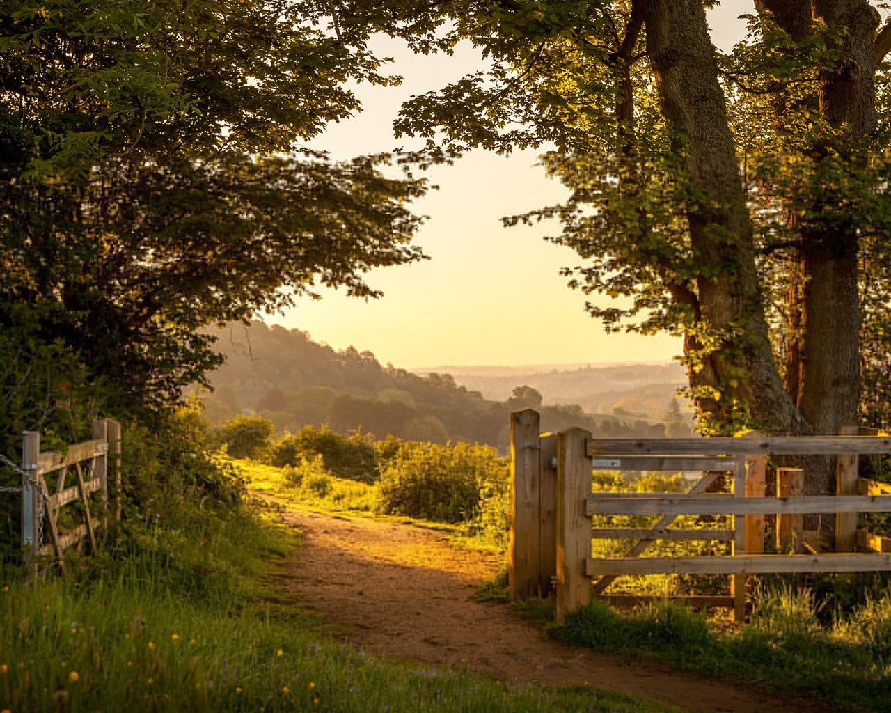 Обои дорога, ворота, деревья, англия, природа, the british countryside, растения, пейзаж, парк, лето, забор, road, gate, trees, england, nature, plants, landscape, park, summer, the fence разрешение 1920x1200 Загрузить