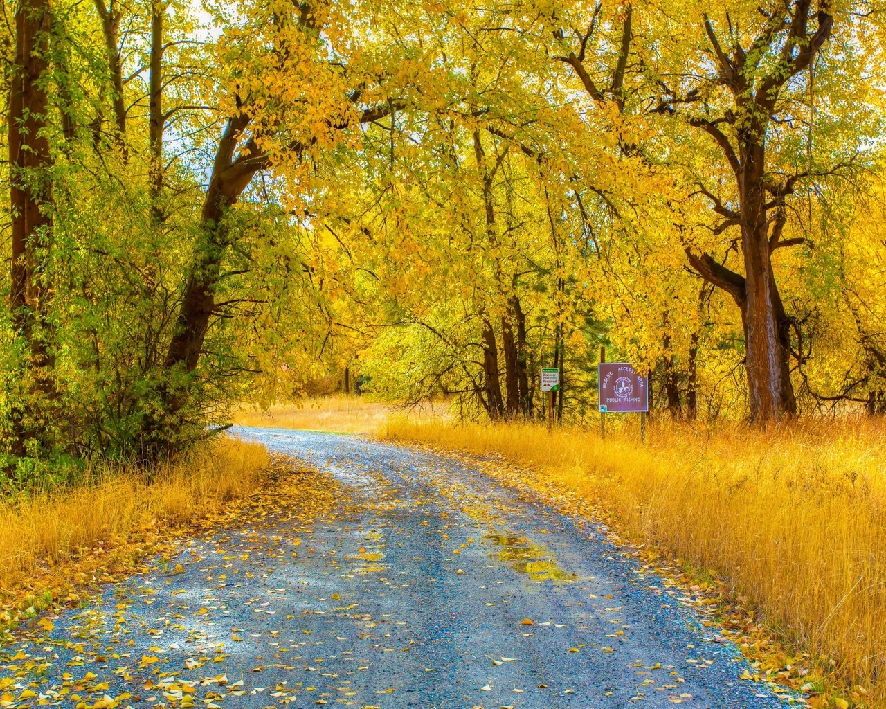 Обои дорога, деревья, природа, лес, листья, парк, осень, road, trees, nature, forest, leaves, park, autumn разрешение 2880x1800 Загрузить