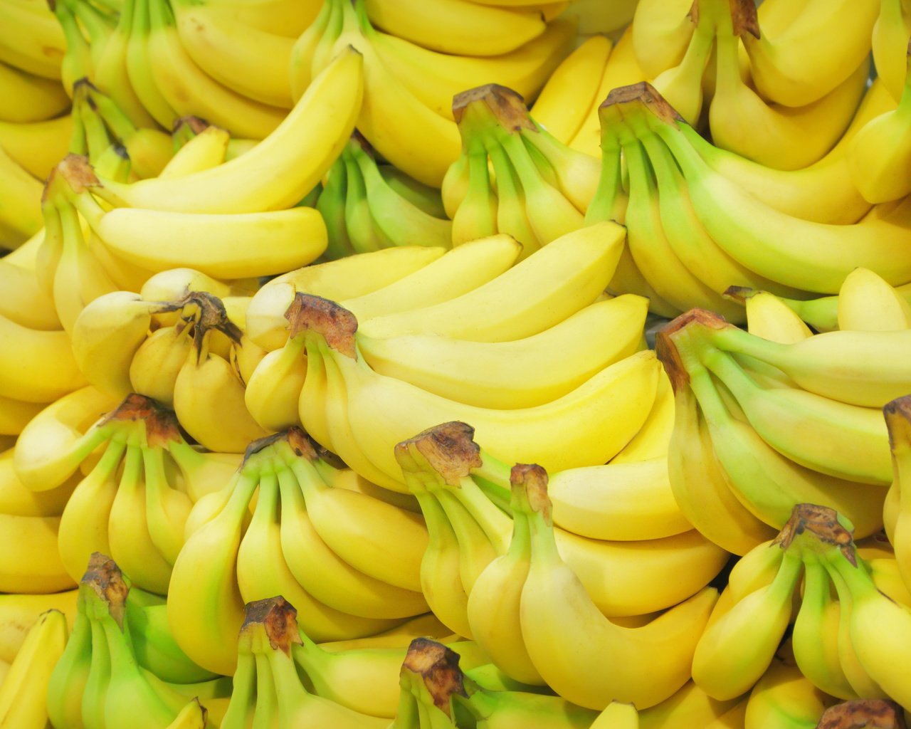 Обои фрукты, много, плоды, бананы, fruit, a lot, bananas разрешение 3840x2400 Загрузить