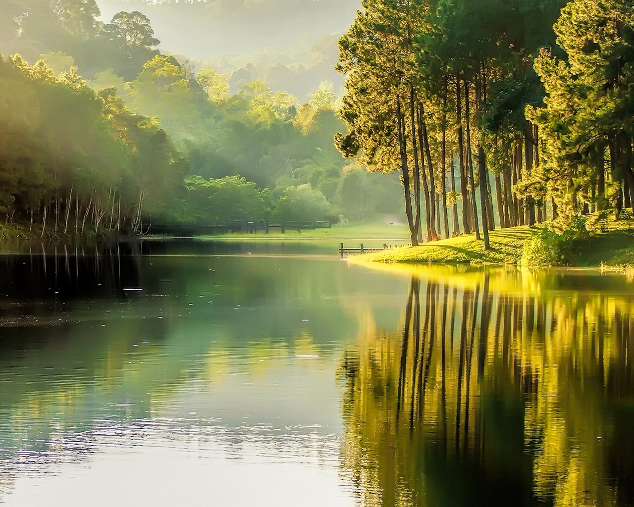 Обои деревья, вода, река, природа, туман, озёра, покой, trees, water, river, nature, fog, lake, peace разрешение 1920x1200 Загрузить