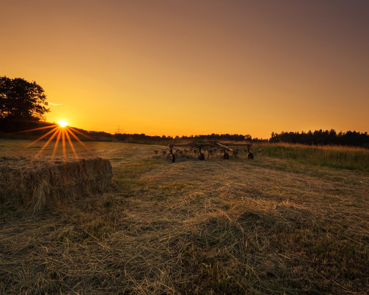 Обои трава, солнце, закат, поле, lena held, grass, the sun, sunset, field разрешение 5472x3648 Загрузить