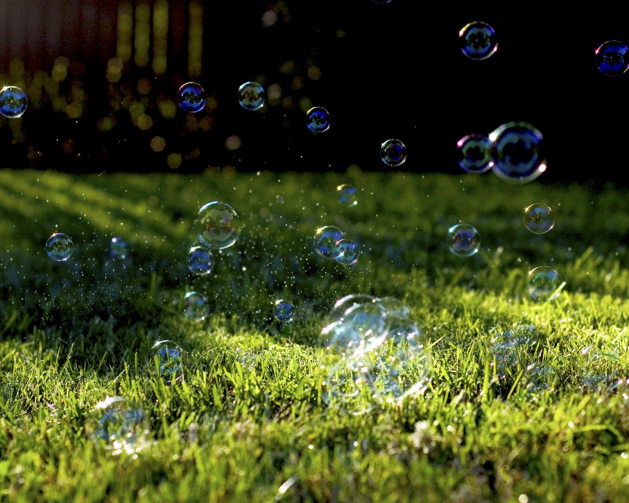 Обои трава, природа, растение, лужайка, мыльные пузыри, мыльные пузырики, grass, nature, plant, lawn, bubbles, soap bubbles разрешение 2880x1800 Загрузить