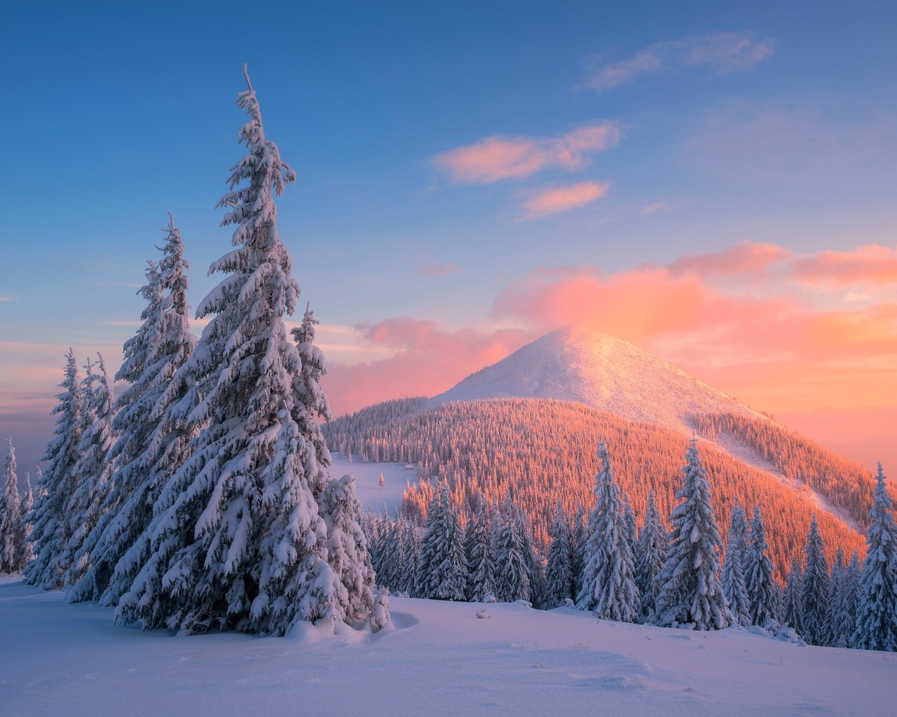 Обои деревья, горы, снег, закат, зима, сосны, карпаты, trees, mountains, snow, sunset, winter, pine, carpathians разрешение 4000x2670 Загрузить