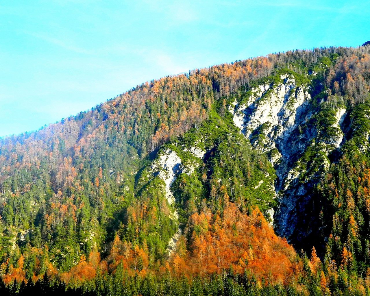 Обои деревья, горы, лес, осень, trees, mountains, forest, autumn разрешение 4224x2376 Загрузить