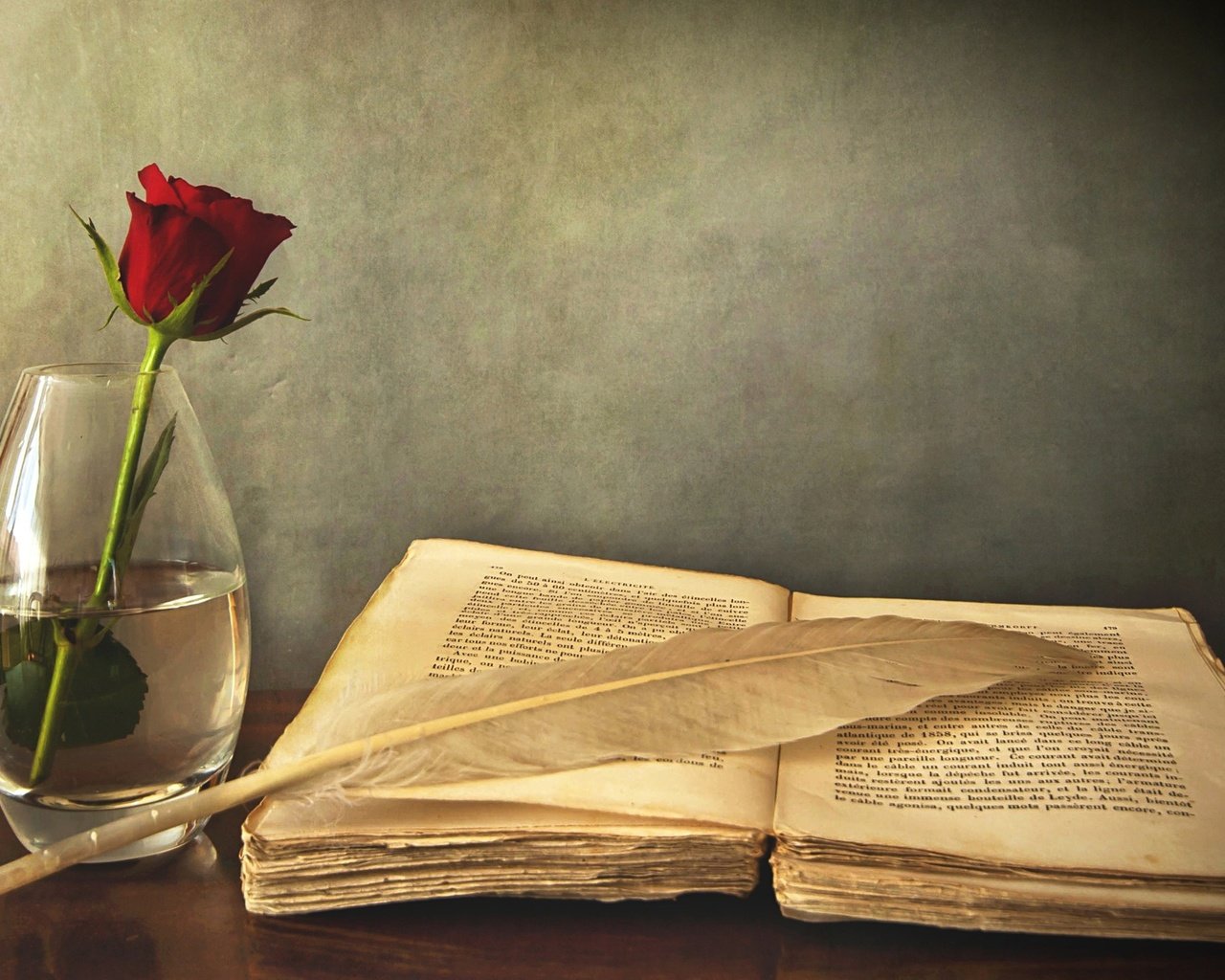 Обои роза, красная, стол, ваза, книга, перо, старая, rose, red, table, vase, book, pen, old разрешение 2560x1600 Загрузить