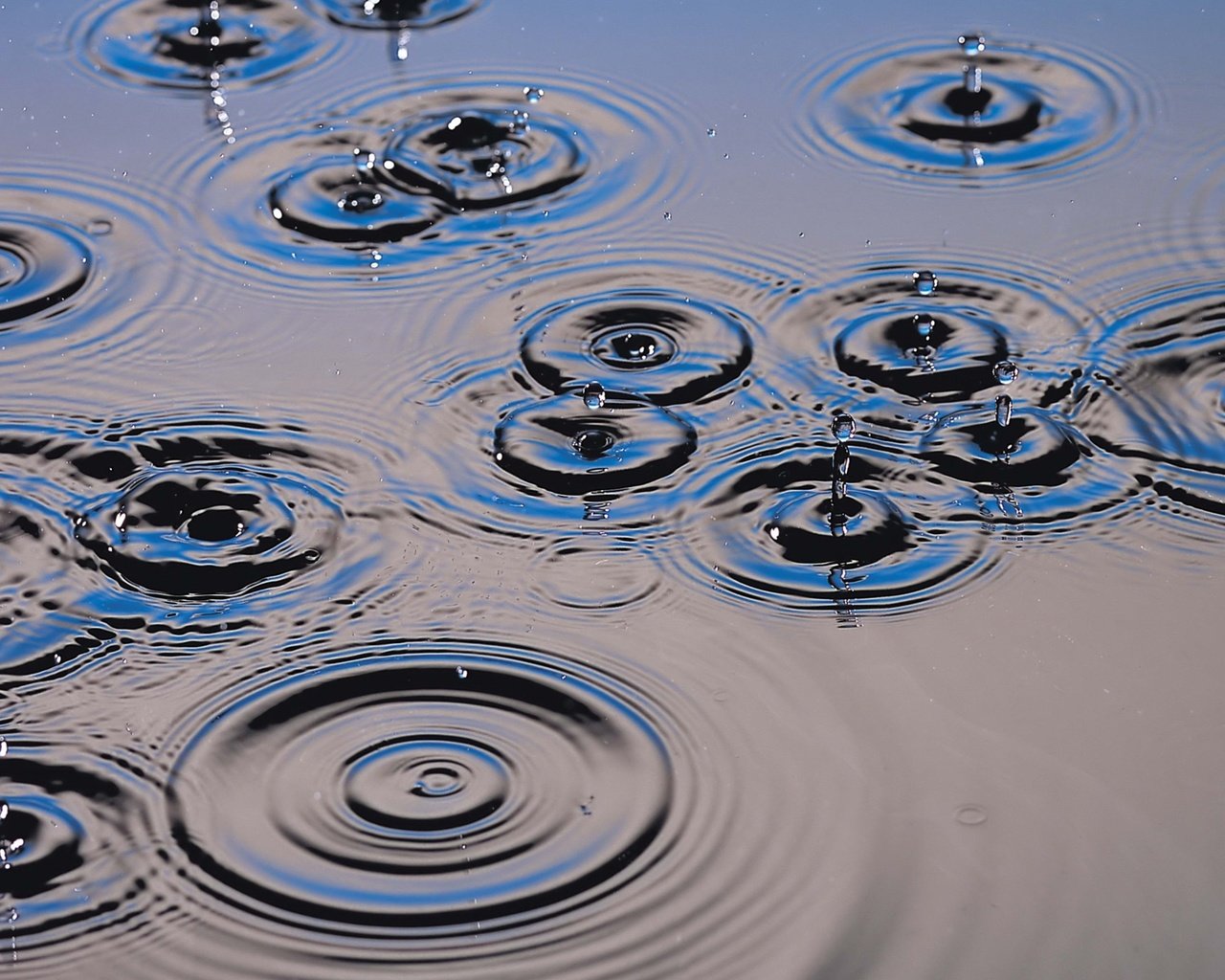 Обои вода, капли, брызги, круги, water, drops, squirt, circles разрешение 2560x1600 Загрузить