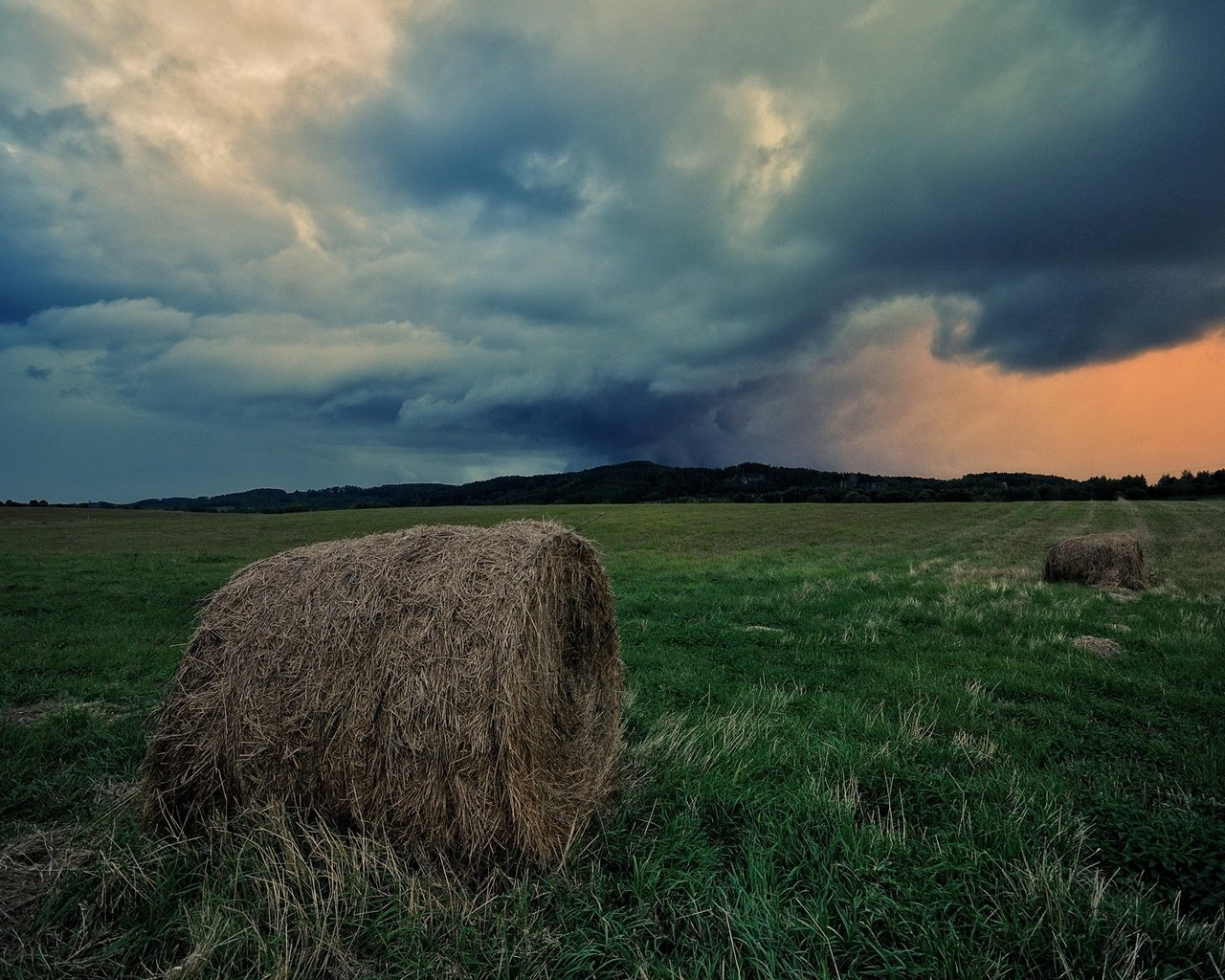 Обои небо, трава, облака, поле, горизонт, сено, тюки, рулоны, the sky, grass, clouds, field, horizon, hay, bales, rolls разрешение 1920x1275 Загрузить