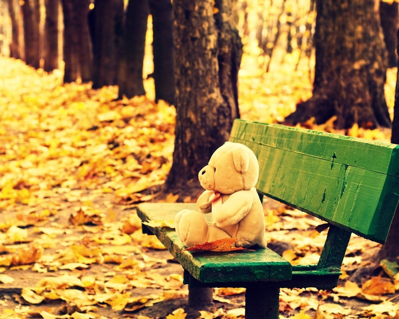 Обои осень, мишка, игрушка, скамейка, плюшевый медведь, осенние листья, autumn, bear, toy, bench, teddy bear, autumn leaves разрешение 2560x1600 Загрузить