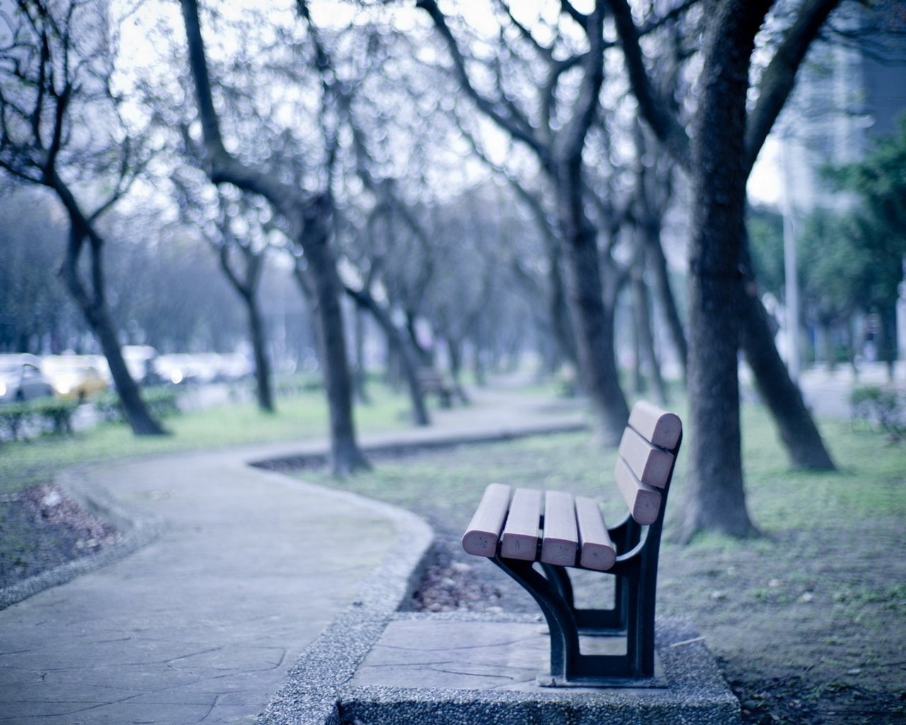 Обои деревья, дорожка, стволы, город, улица, скамья, тротуар, trees, track, trunks, the city, street, bench, the sidewalk разрешение 2560x1600 Загрузить