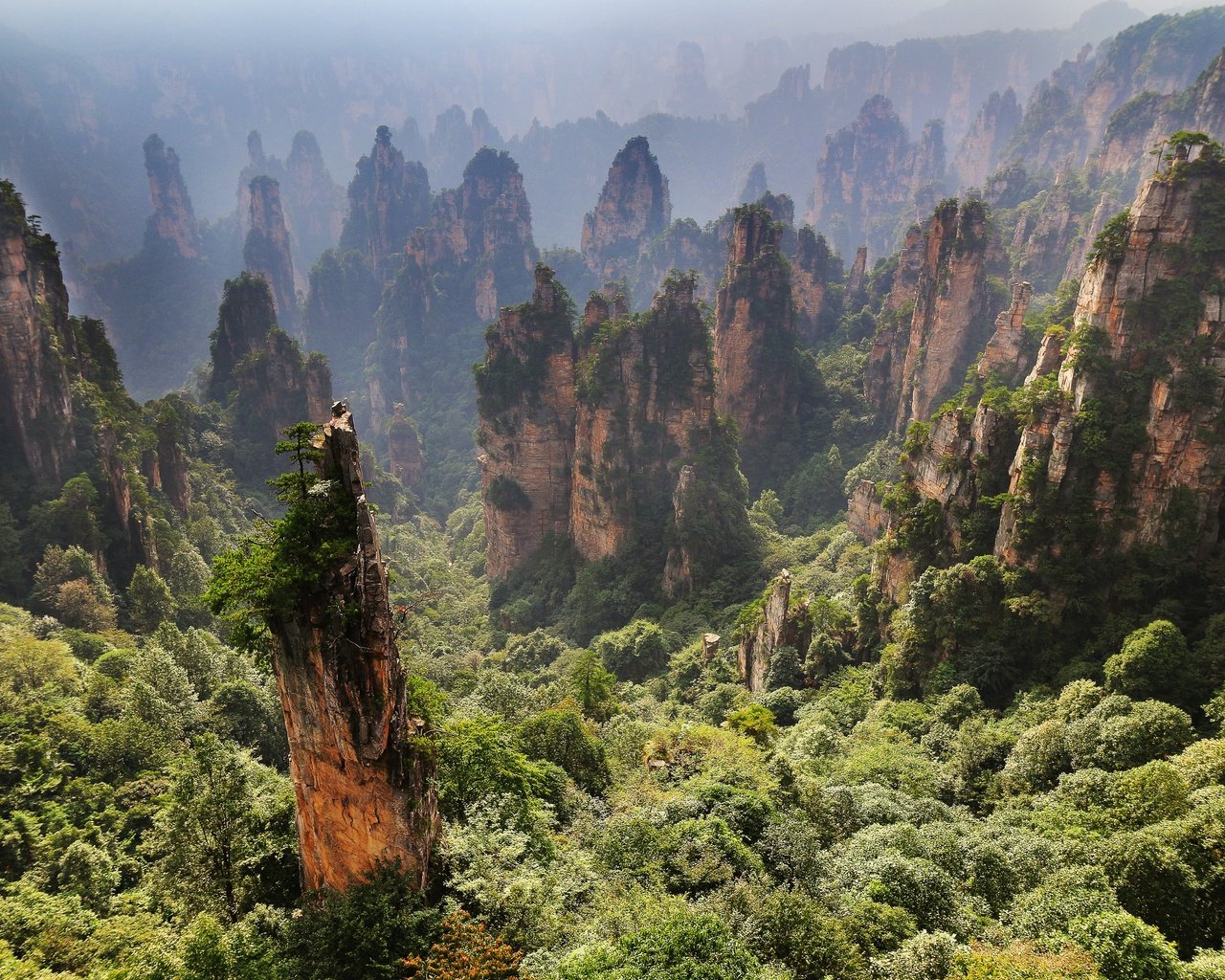 Обои горы, zhangjiajie, zhangjiajie national forest park, скалы, zhangjiajie national park, чжанцзяцзе, природа, пейзаж, утро, туман, китай, национальный парк, mountains, rocks, nature, landscape, morning, fog, china, national park разрешение 5119x3340 Загрузить